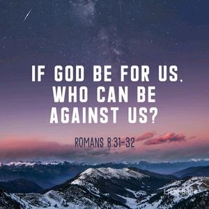 Meet your Posher, Tracey